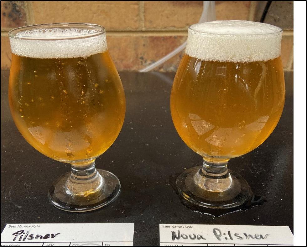 NovaLager Trials by Nathan Roncari - KegLand