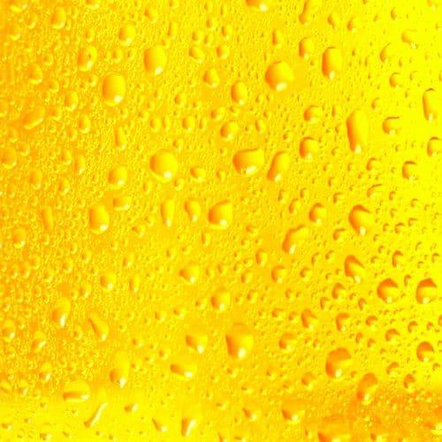 Set & Forget Keg Carbonation - KegLand