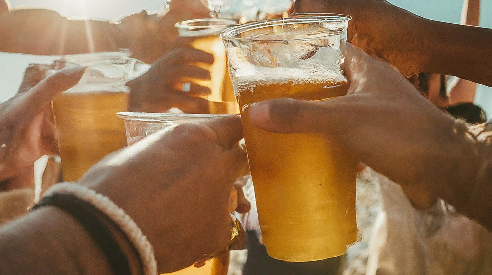 Ginger Beers & Ginger Ales