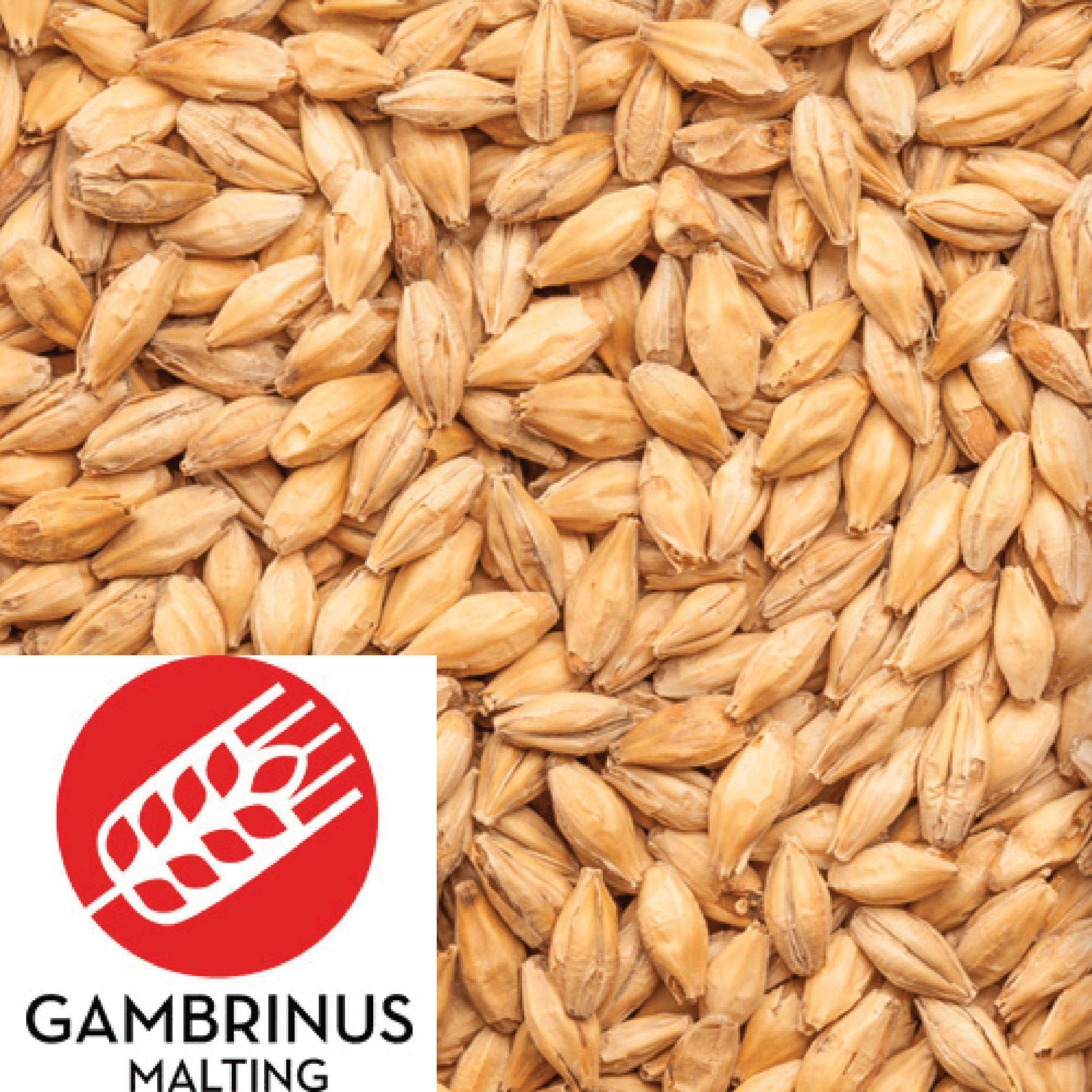 25kg SACK - Honey Malt - Gambrinus (CAN) - KegLand