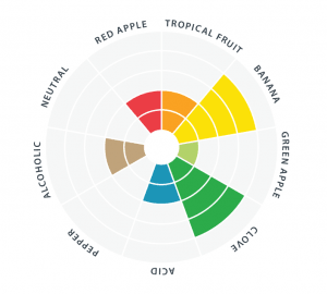 Lallemanmd Premium Abbaye - Flavour Chart