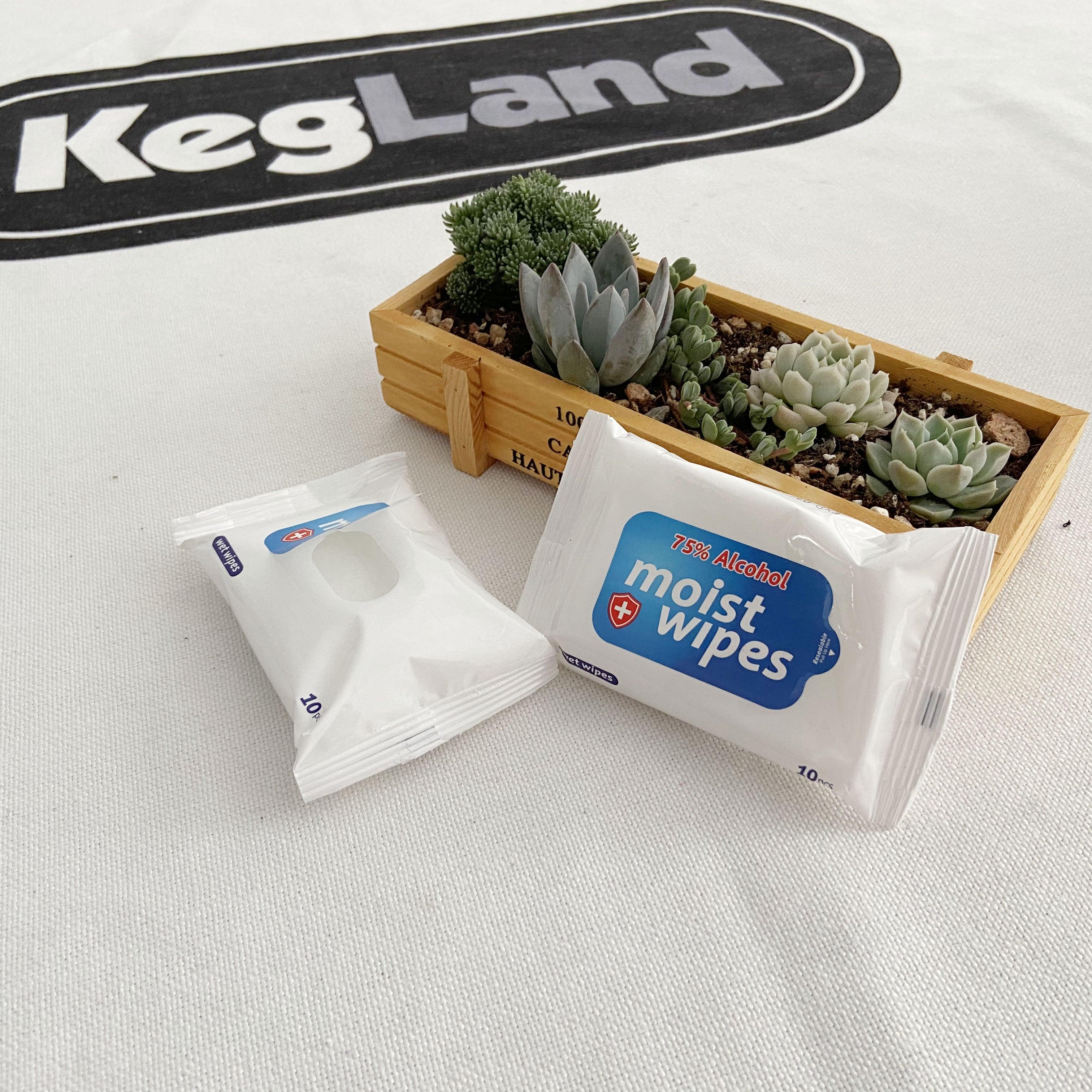 75% Ethanol Alcohol Wipes (10/pouch) - KegLand