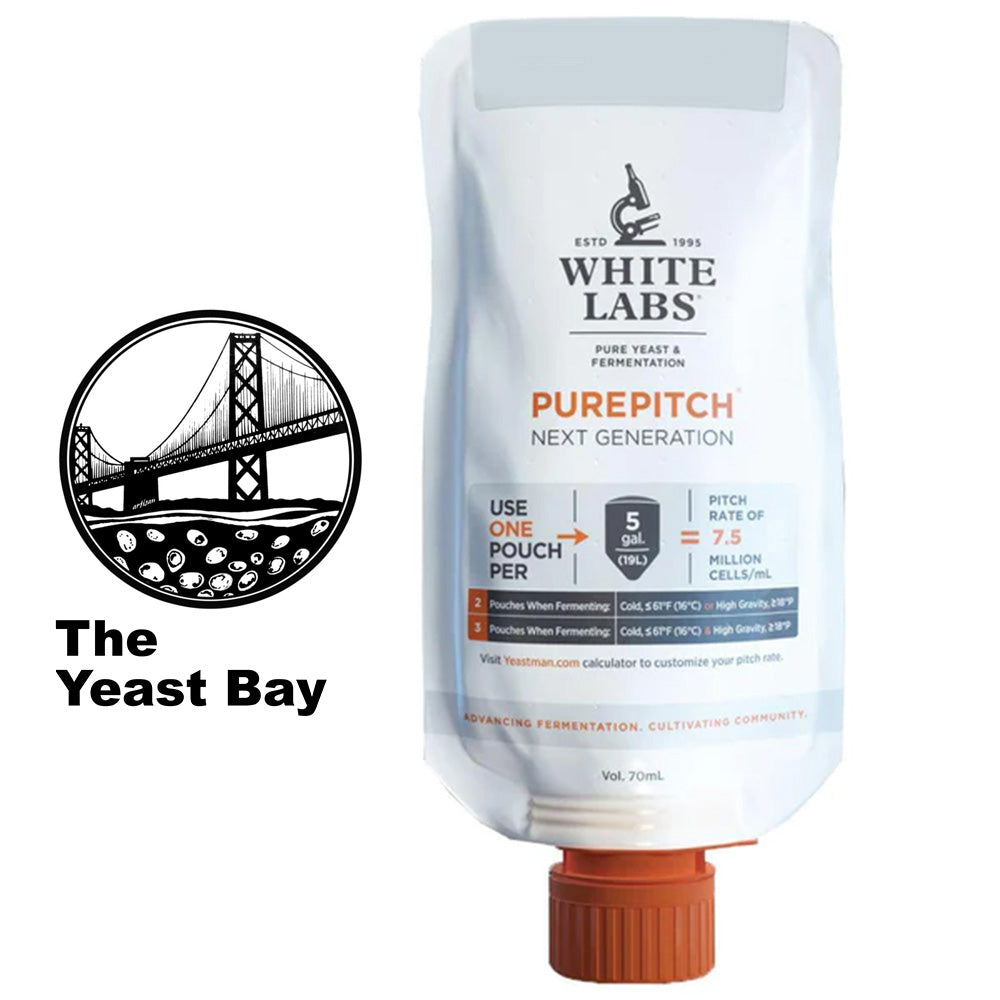 This strain is prone to forming incredibly large flocs unlike any other yeast we've seen before, yet still remains highly attenuative.