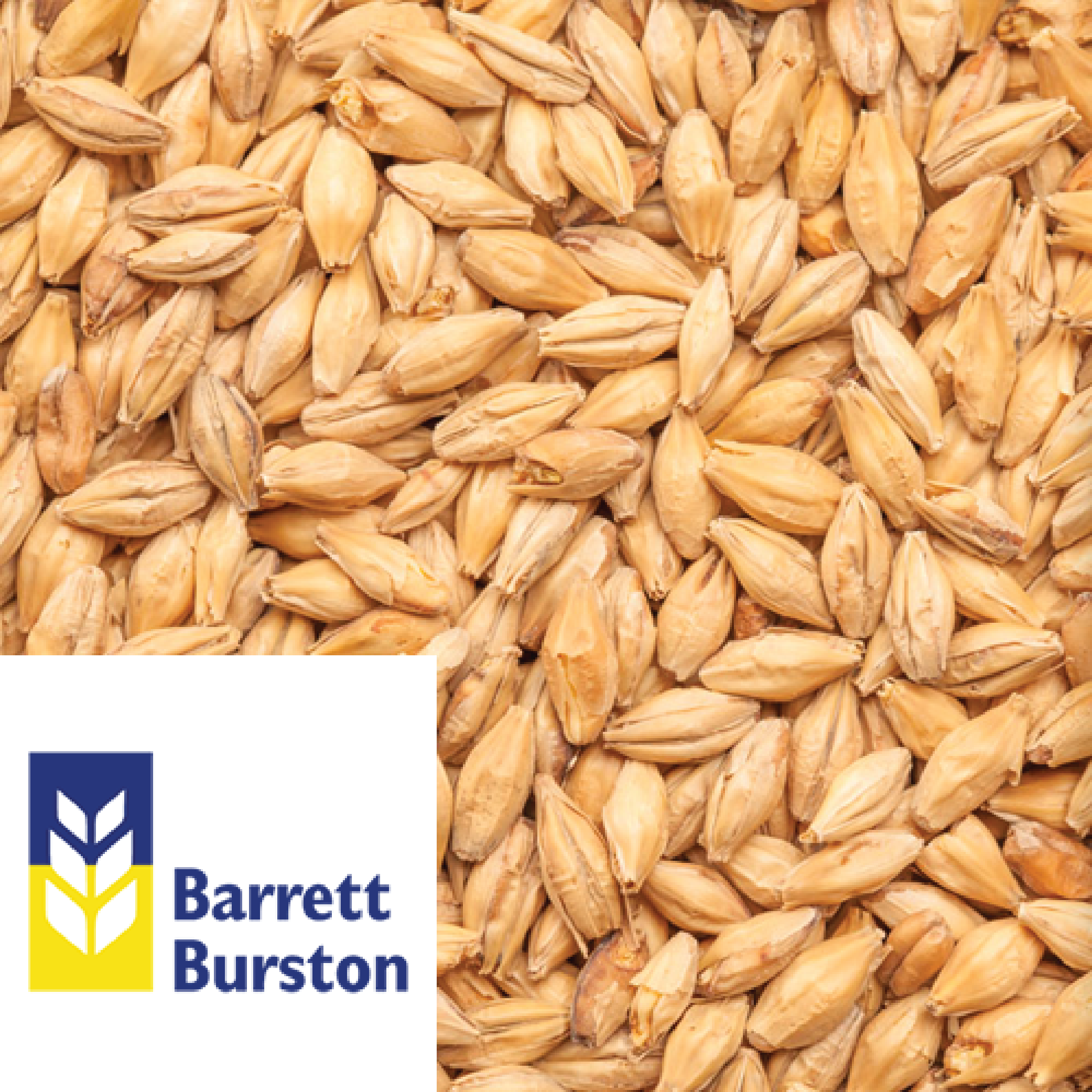 25kg SACK - Australian Extra Pale Malt - Barrett Burston (AUS) - KegLand