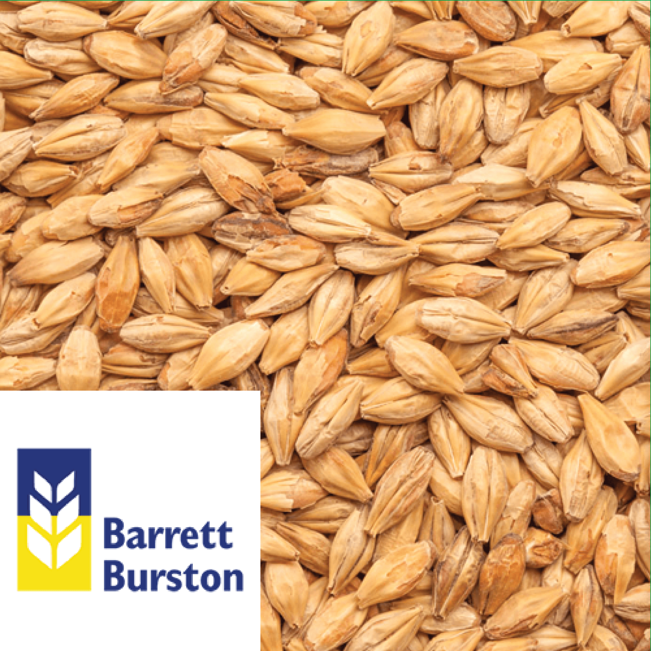 25kg SACK - Caramalt - Barrett Burston (AUS) - KegLand
