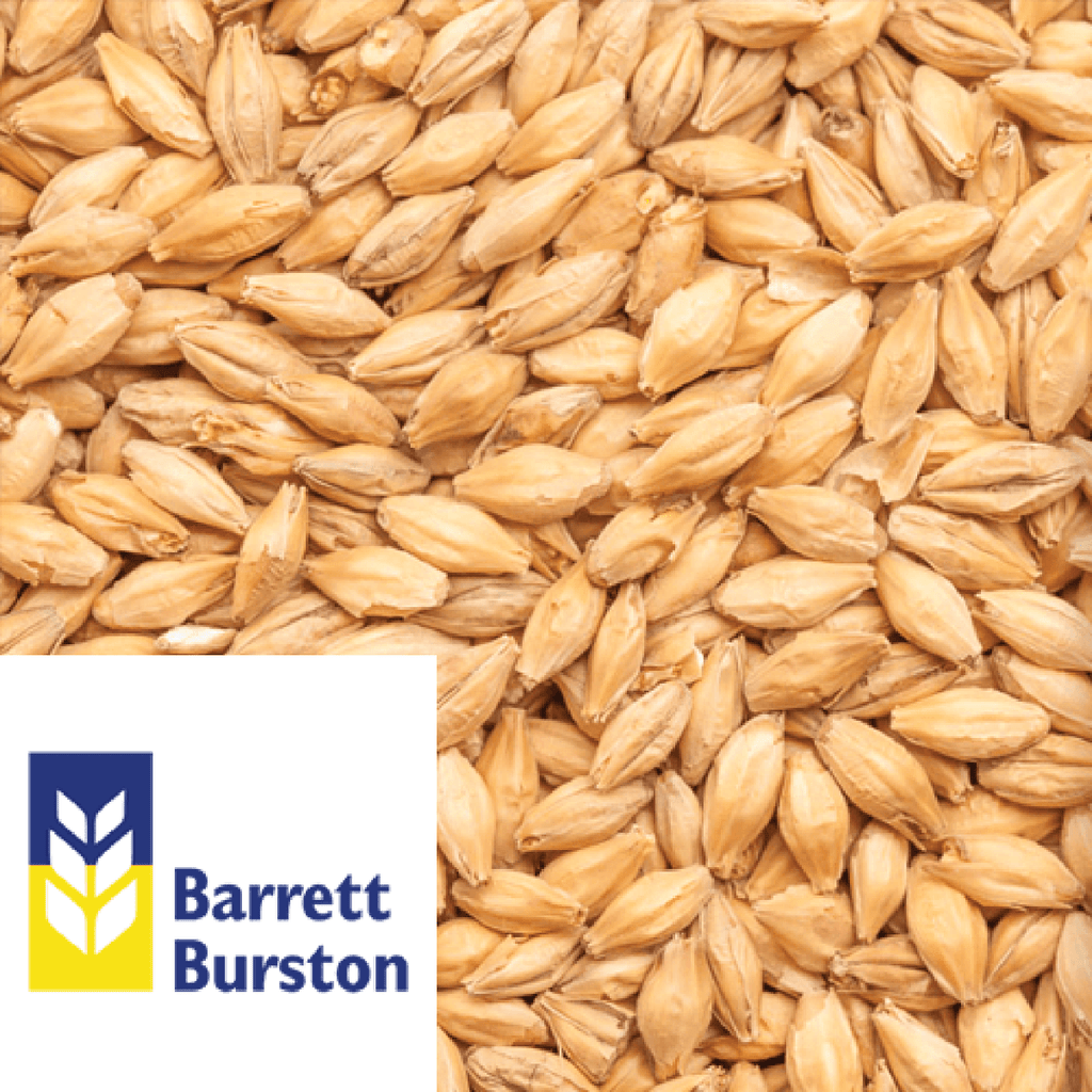 25kg SACK - Munich - Barrett Burston (AUS) - KegLand