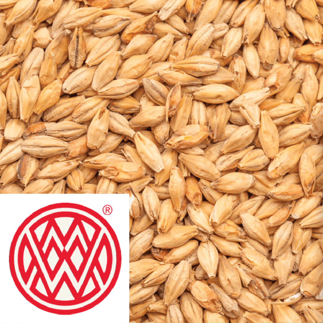 25kg SACK - Munich T1 (Light) - Weyermann (GER) - KegLand