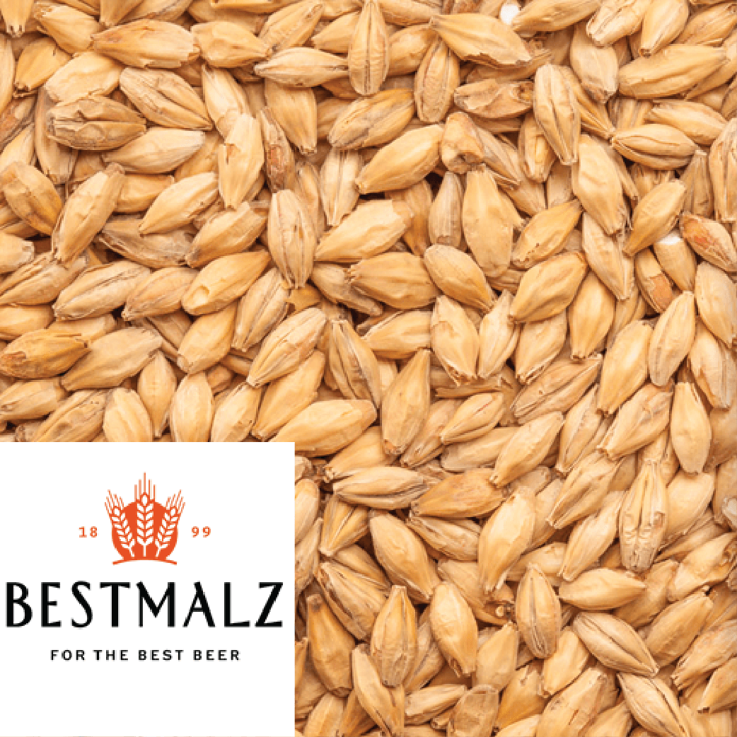 25kg SACK - Red X - Best Malz (GER) - KegLand