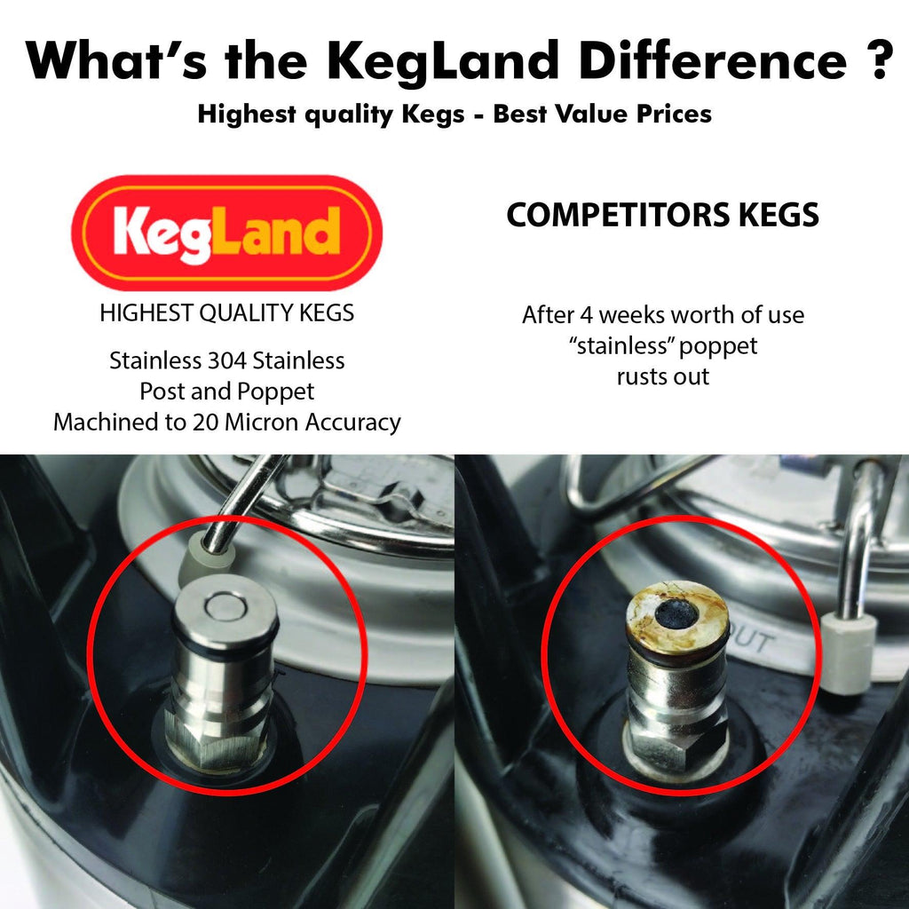 9.5L Ball Lock Keg with rubber base and handle - KegLand