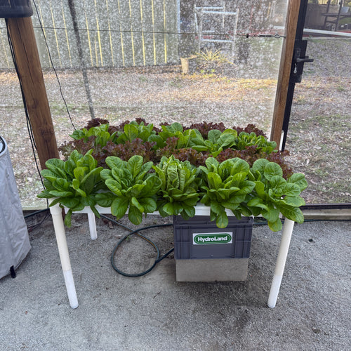 36 Hole NFT System - Medium Nutrient Film Technique (NFT) Kit