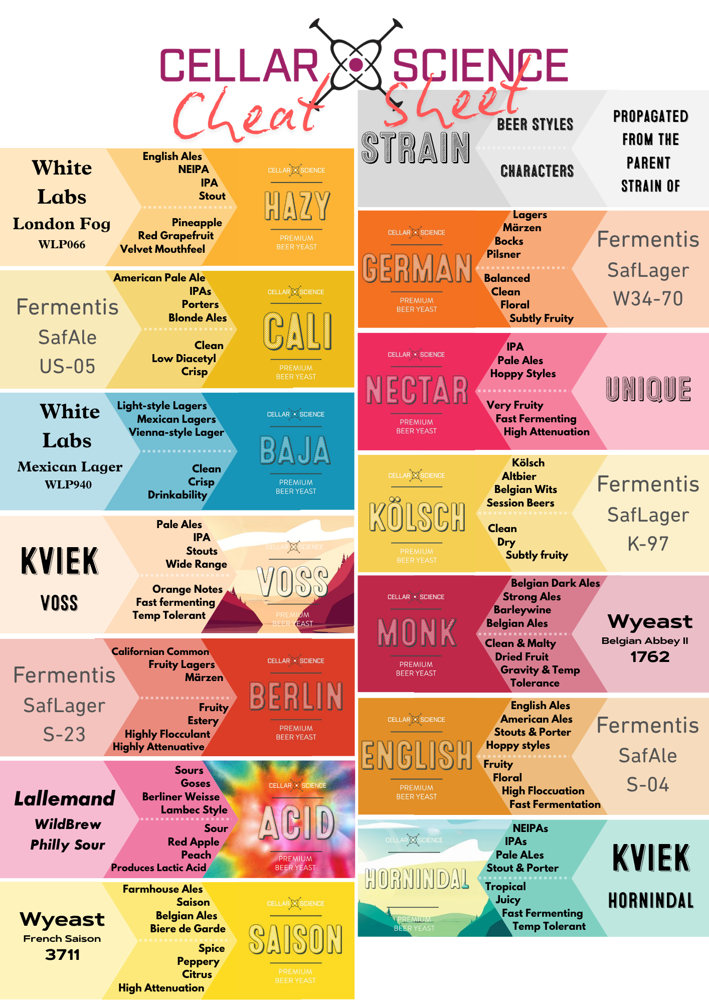 CellarScience Cheat Sheet Poster