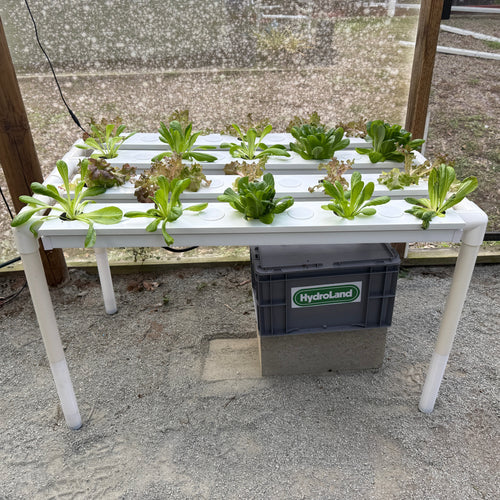 36 Hole NFT System - Medium Nutrient Film Technique (NFT) Kit