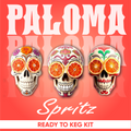 Three colorful skull designs with oranges on a red background, featuring the brand 'Paloma'.