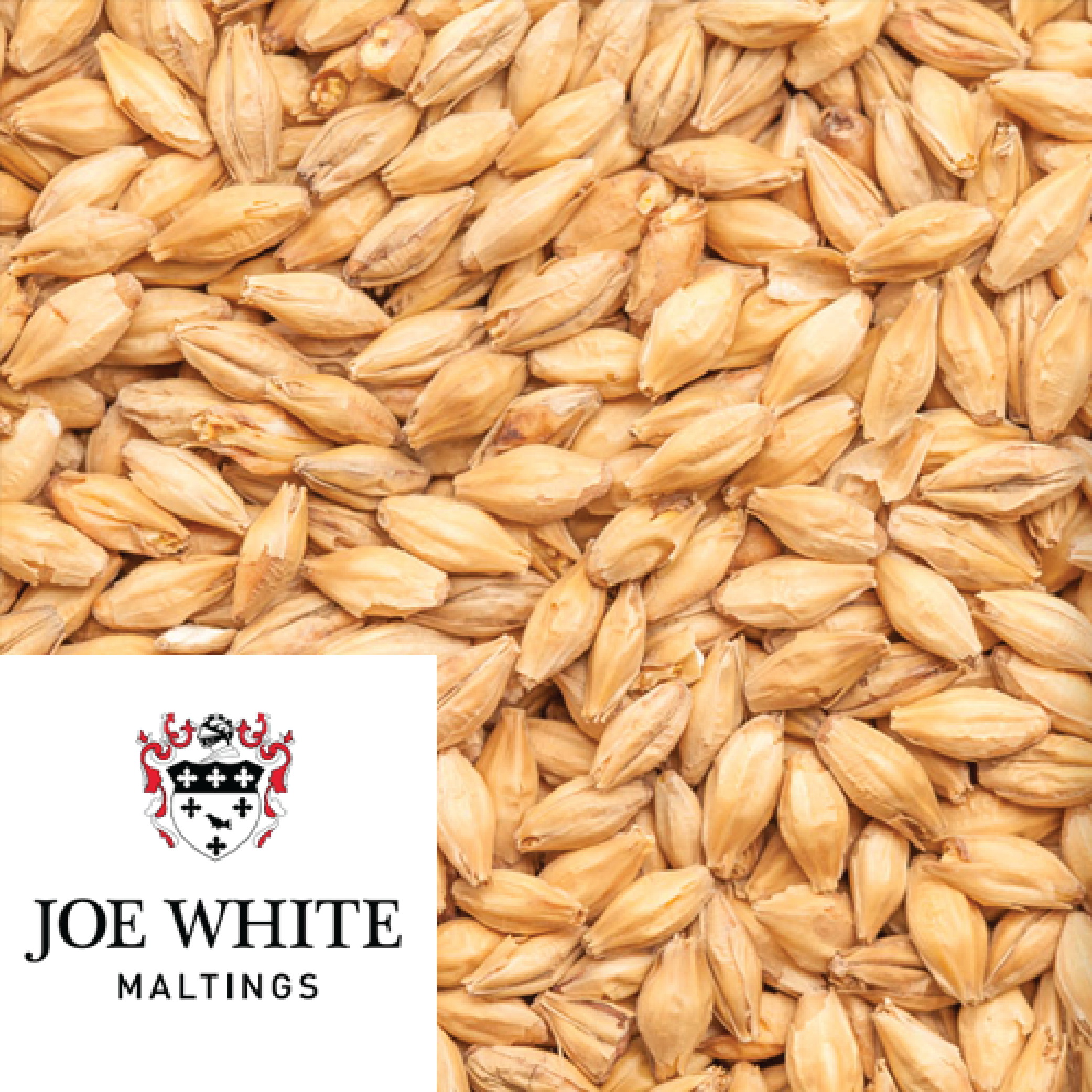Signature Lager Malt - Joe White (AUS) - per kg