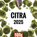 Citra - (500g Pellet Hop)