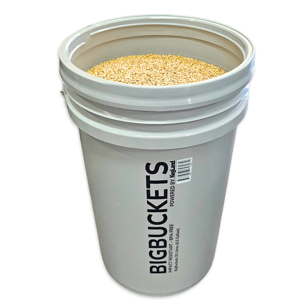 Gray bucket with a white lid containing a barley grain, branded as 'BIGBUCKETS'.