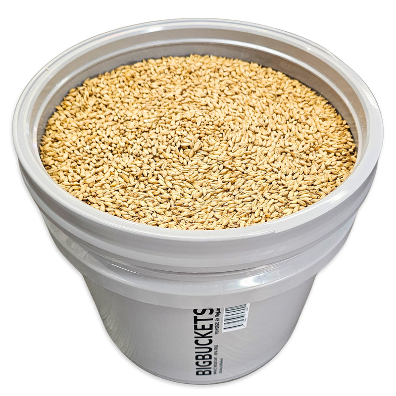 KegLand BigBuckets with ScrewTop Gamma Seal Lids