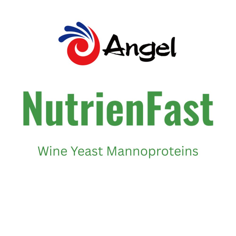NUTRIENFAST - KegLand Angel - Yeast Nutrition - 100g