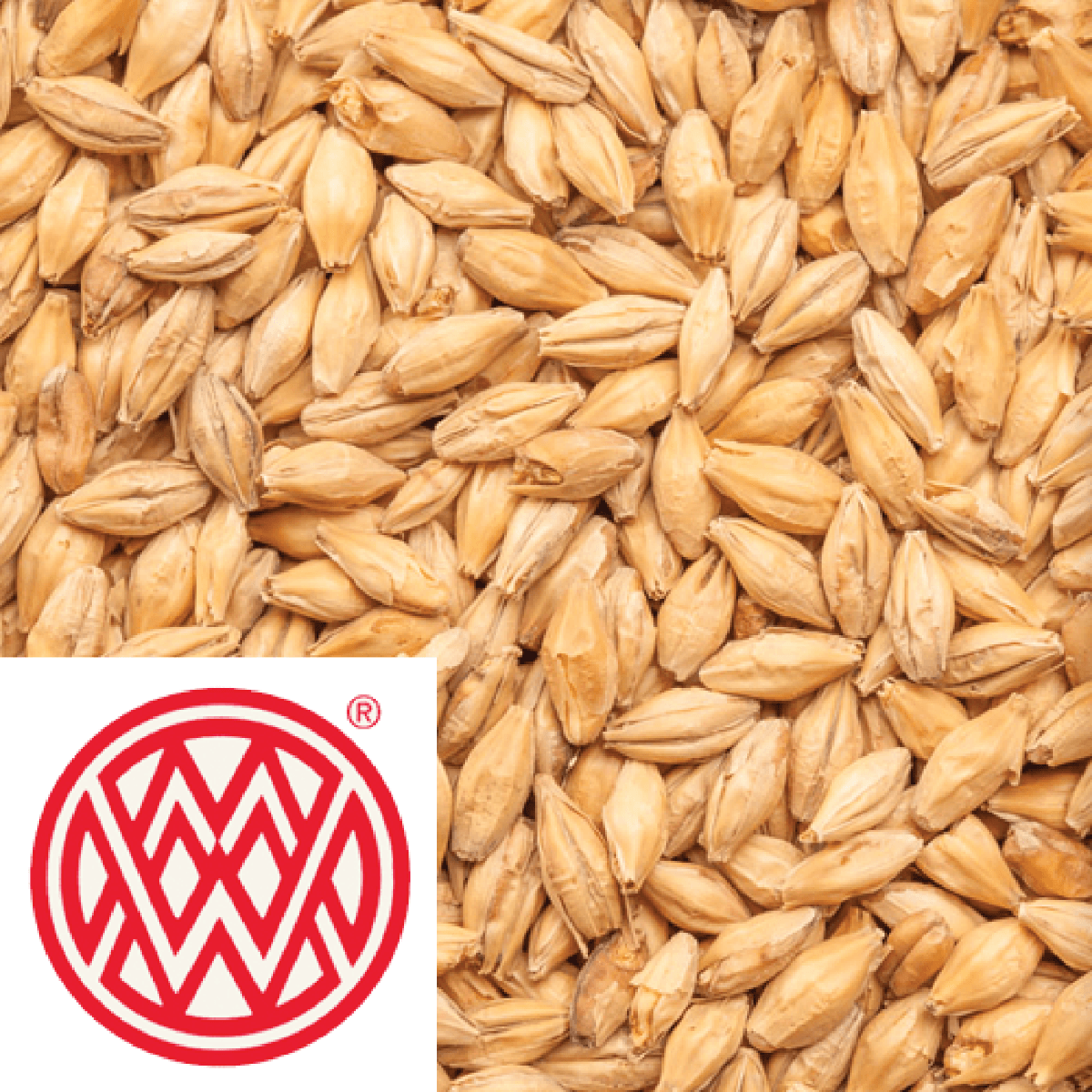 Abbey Malt - Weyermann (GER) - per kg - KegLand