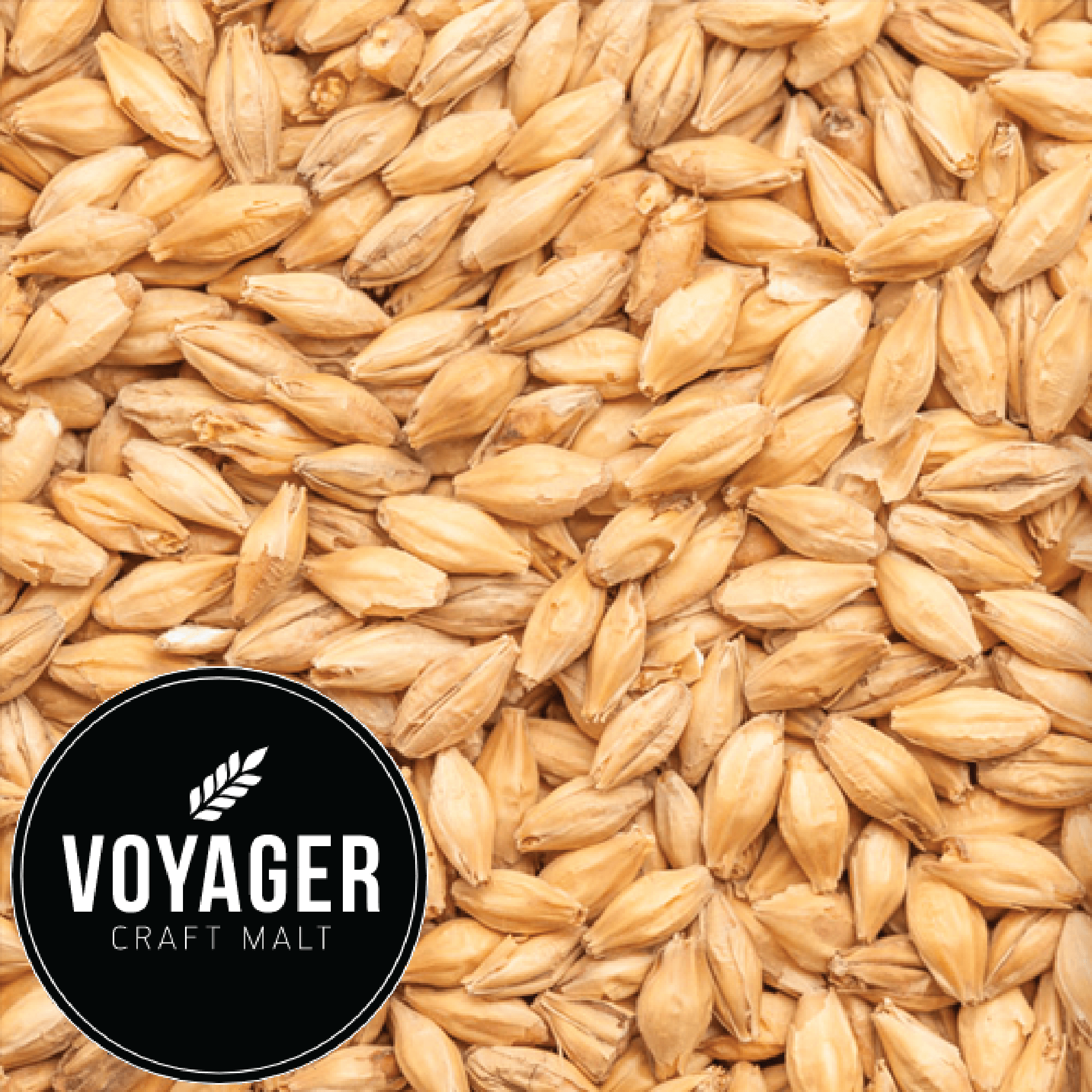 Ale Malt - Veloria (Schooner) - Voyager (AUS) - per kg - KegLand