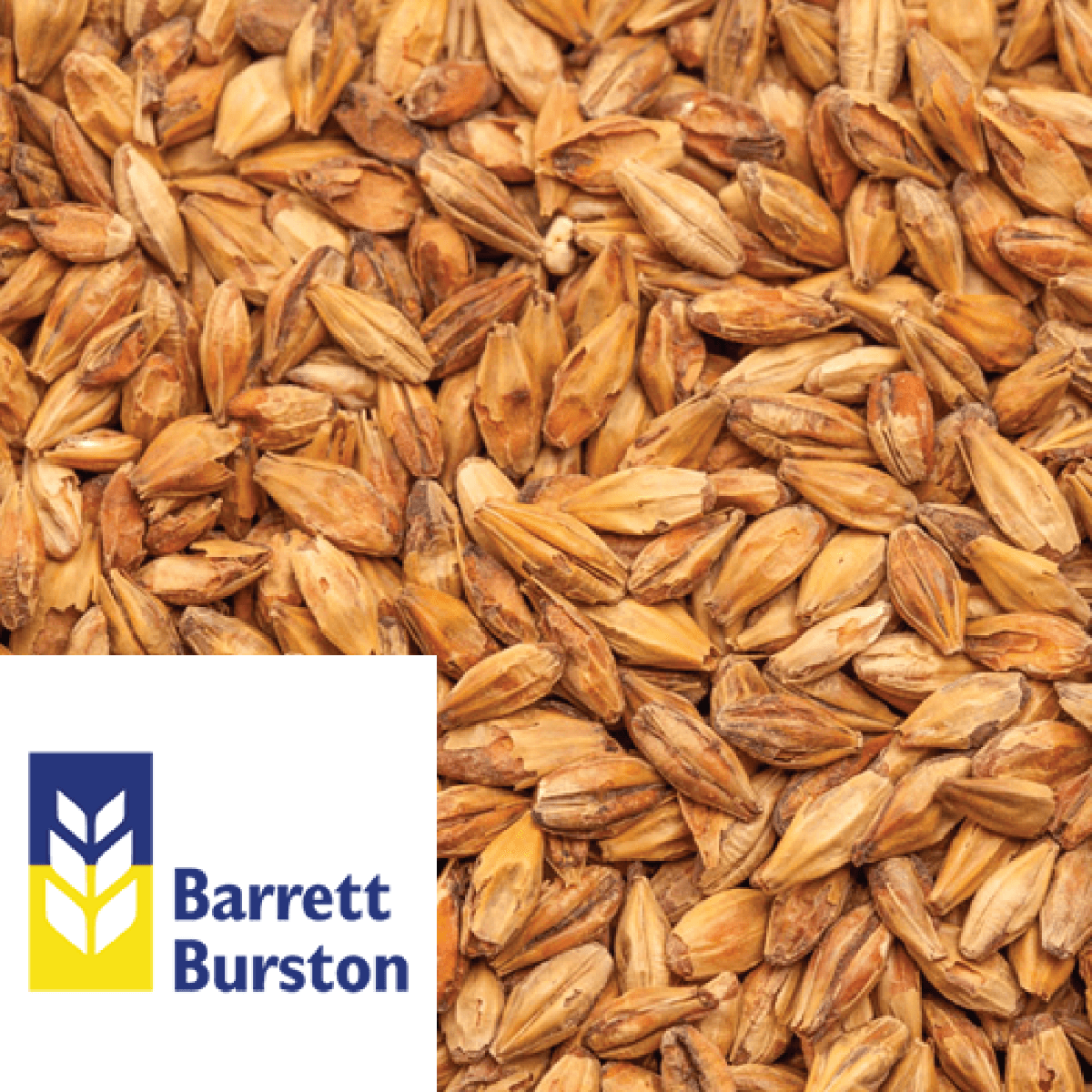 Amber Malt - Barrett Burston (AUS) - per kg - KegLand