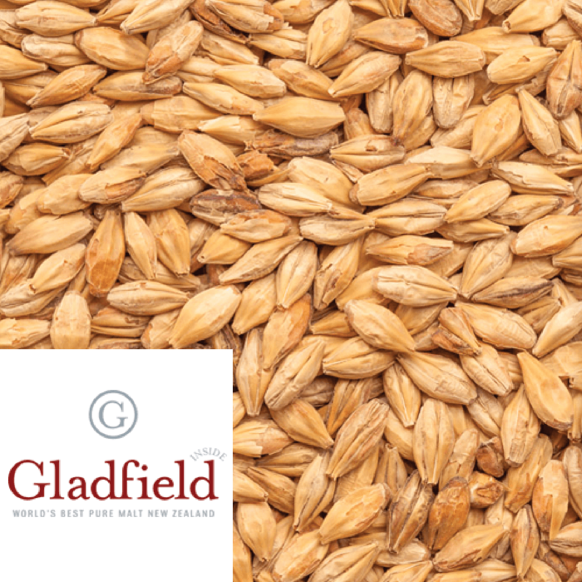 Biscuit Malt - Gladfield (NZ) - per kg - KegLand