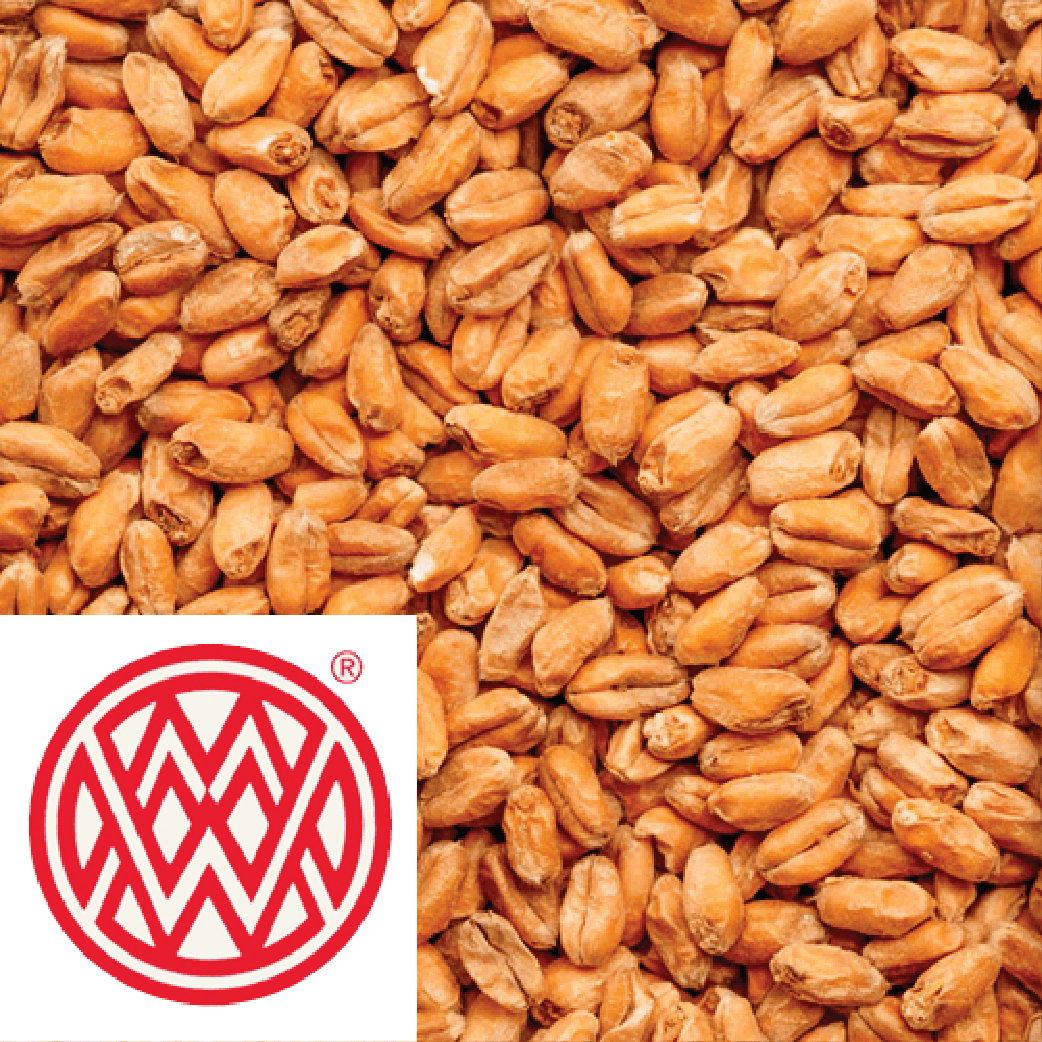 Caramel Wheat - Weyermann (GER) - per kg - KegLand