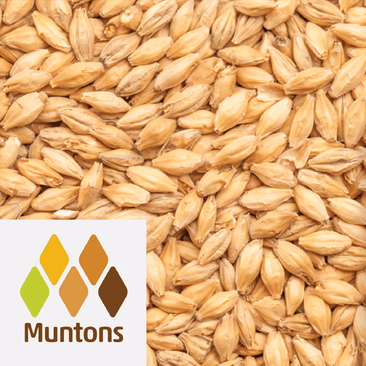 Distillers Malt (Spring) - Muntons (UK) - per kg - KegLand