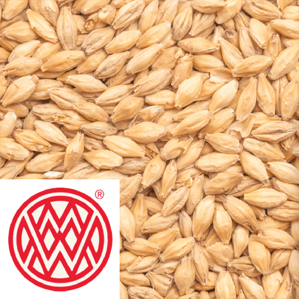 Extra Pale Premium Pilsner - Weyermann (GER) - per kg - KegLand