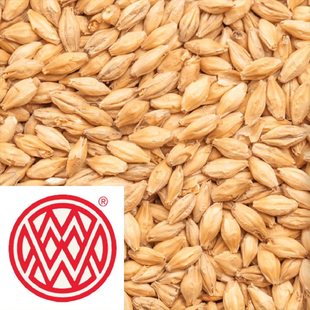 Floor Malted Bohemian Pilsner - Weyermann (GER) - per kg - KegLand