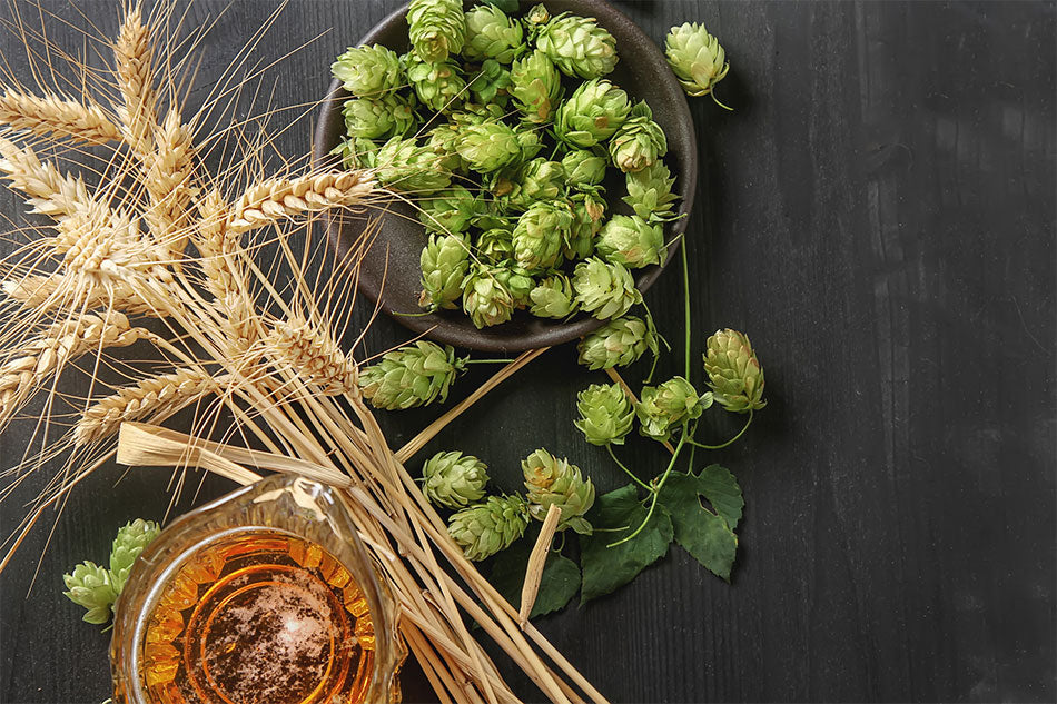 High Quality Brewing Ingredients on the table
