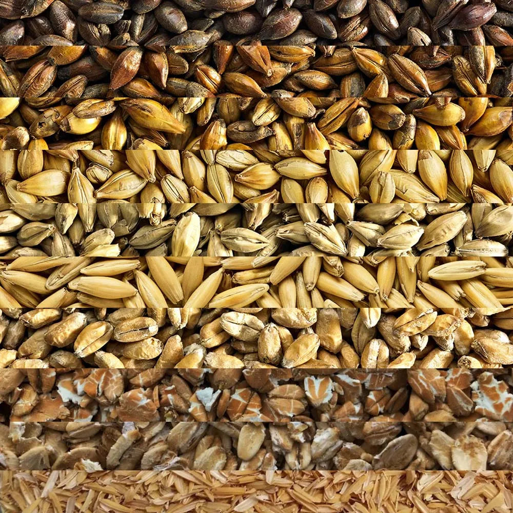 GRAIN BILL - Customer's Product with price 0.00 ID SDLecuwXppX1NBDPXGh6TuBM