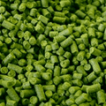 Mt Hood - (100g Pellet Hop) - KegLand