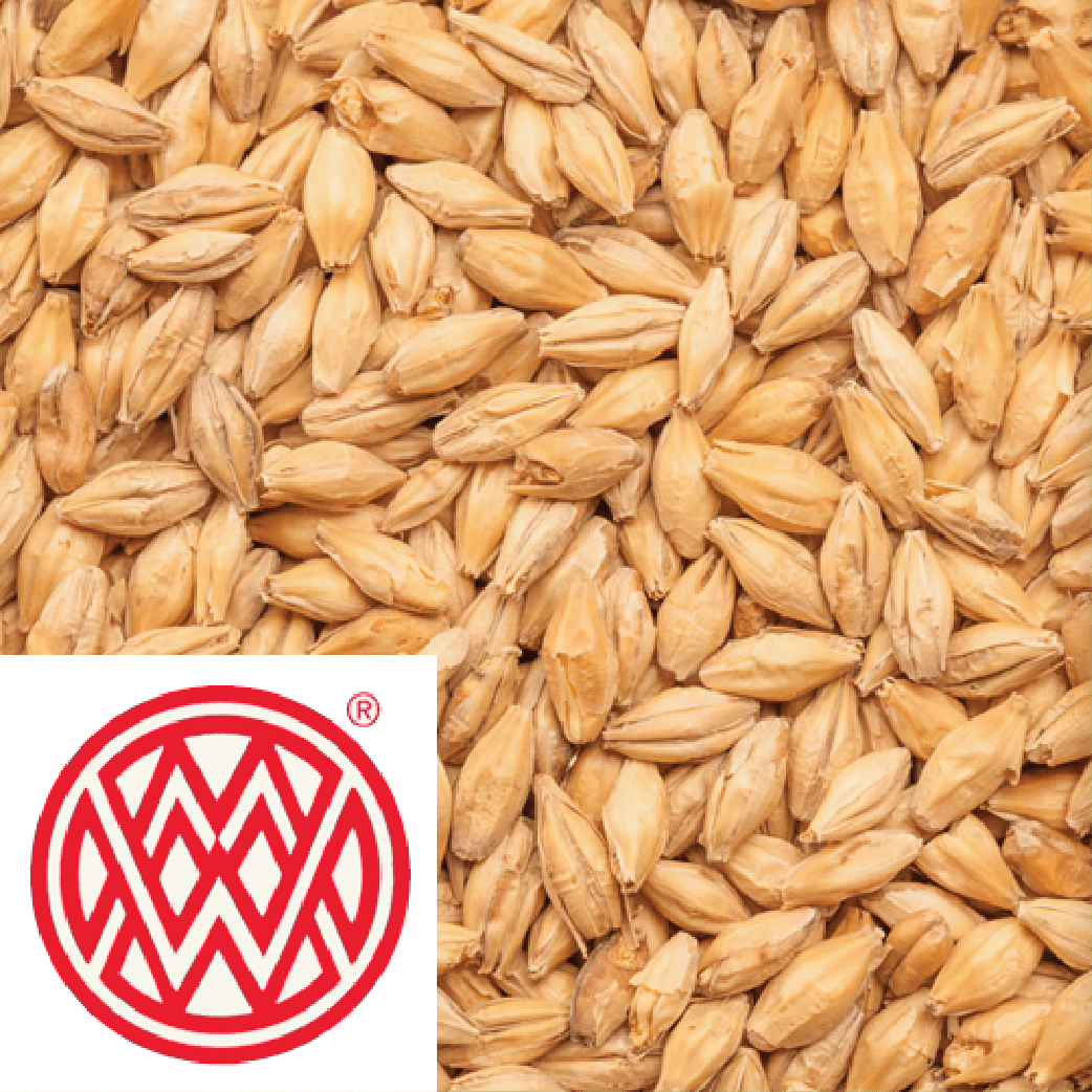 Pale Ale Malt - Weyermann (GER) - per kg - KegLand