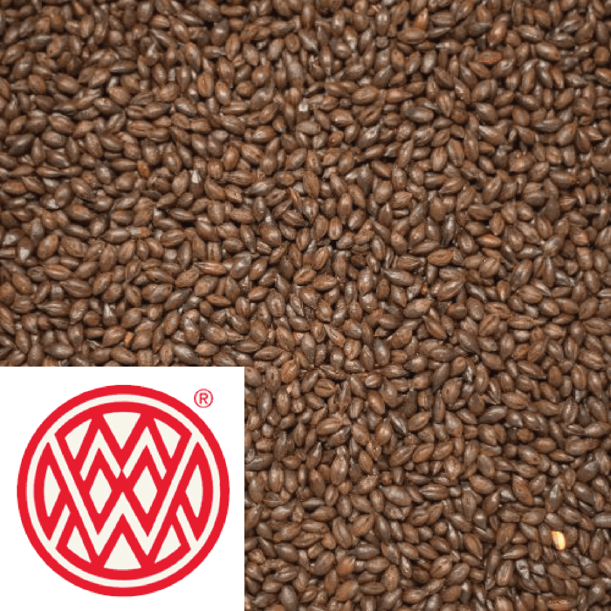 Wheat Chocolate - Weyermann (GER) - per kg - KegLand