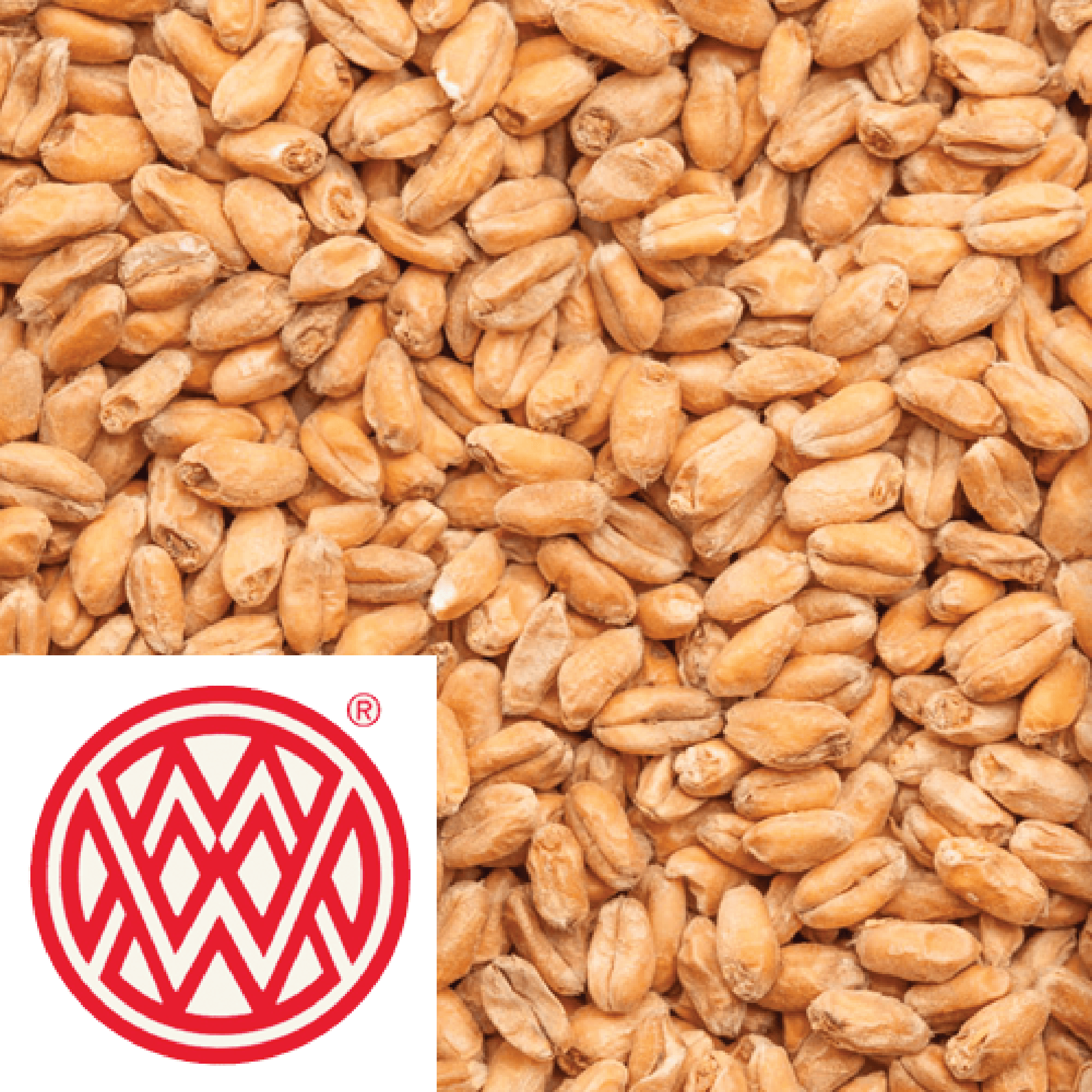 Wheat Malt - Weyermann (GER) - per kg - KegLand