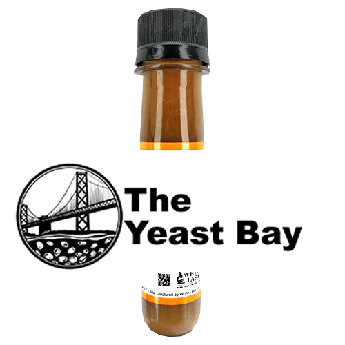 YB-WLP4641 - Amalgamation II - KegLand