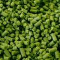 Nugget - (100g Pellet Hop)